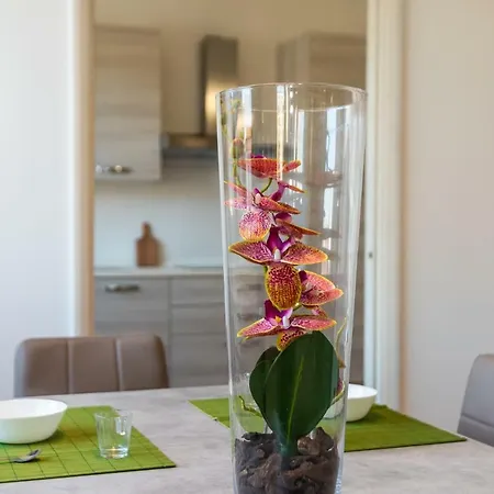 Vittoria 4 Apartamento